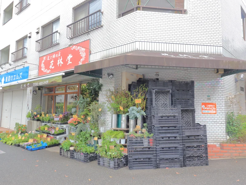 花林堂