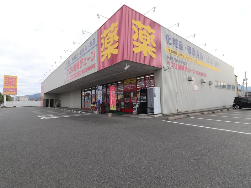 薬岩崎チェーン　