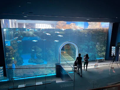 市立しものせき水族館 海響館