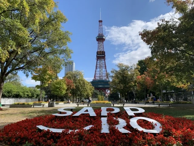 大通公園(徒歩3分）