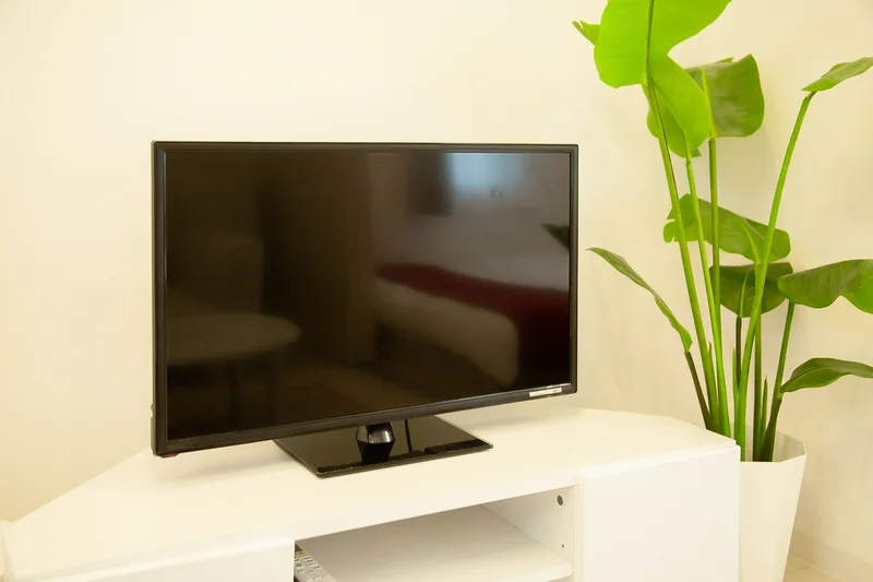 観葉植物(フェイク)は撤去済みです。