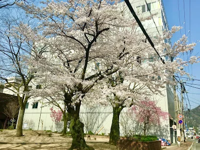 今西公園まで徒歩１分