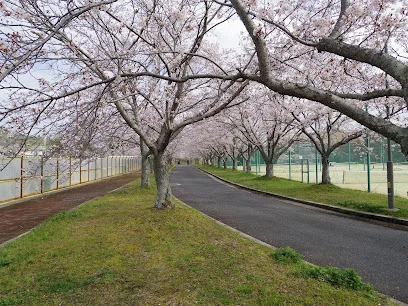 ヤマト運輸 東広島営業所（鏡山）まで車で４分