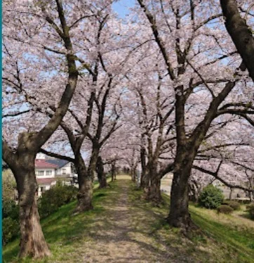 弁天島公園まで徒歩5分