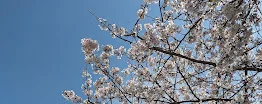 筥松南公園