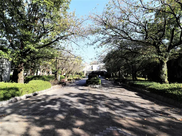 三本松公園