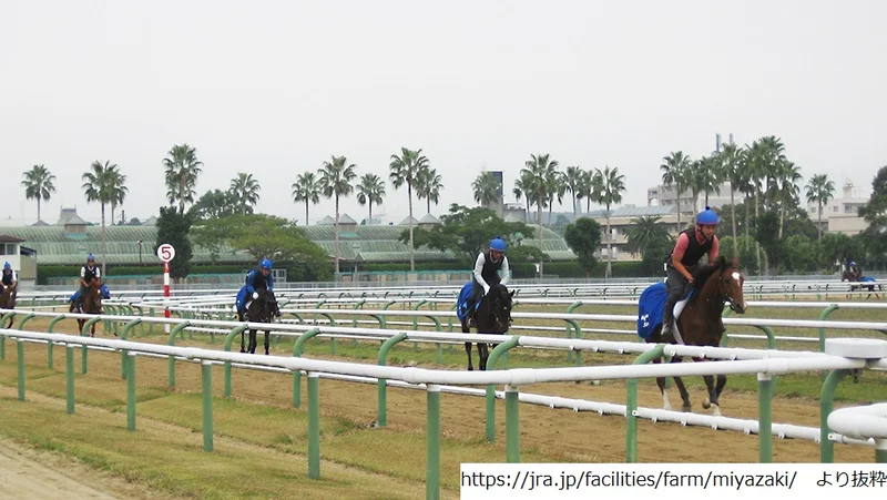 JRA宮崎育成牧場
