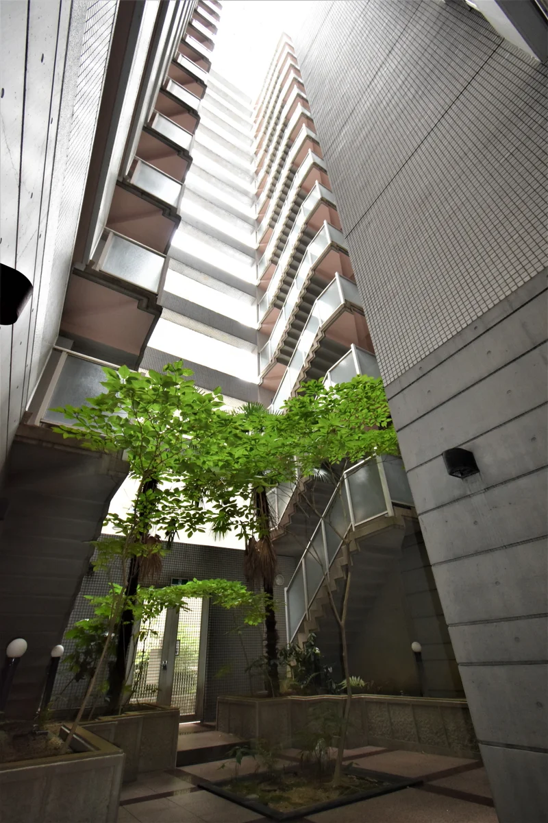 共用スペースに植木があり　癒されます！