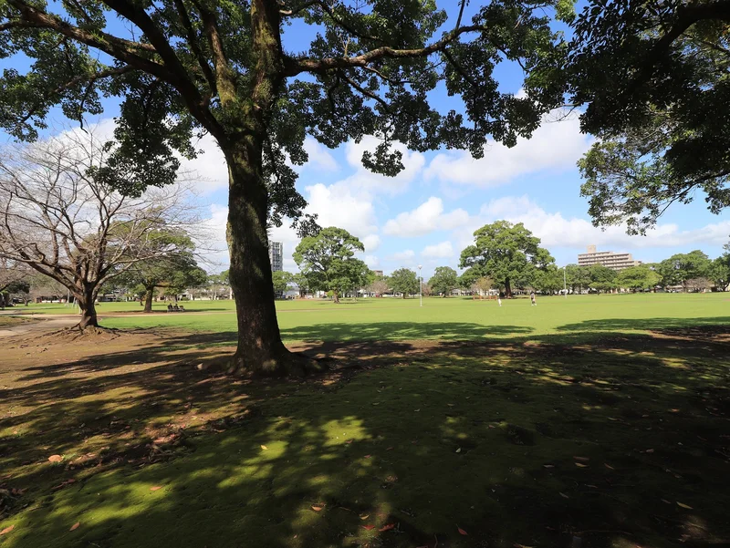 宮崎県総合文化公園