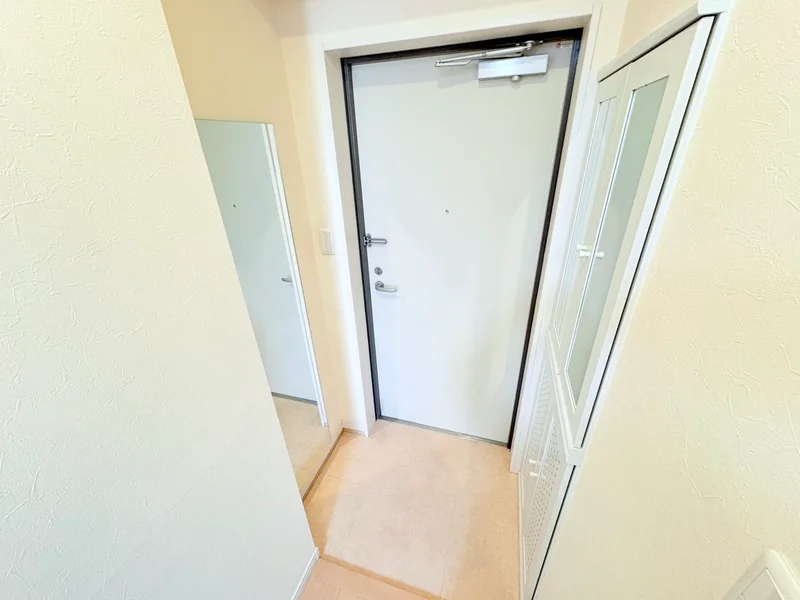 シューボックス収納大容量♪鏡も付いているので出かける前にチェックできます★★