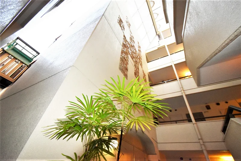 中庭？木漏れ日が切れな感じです♪