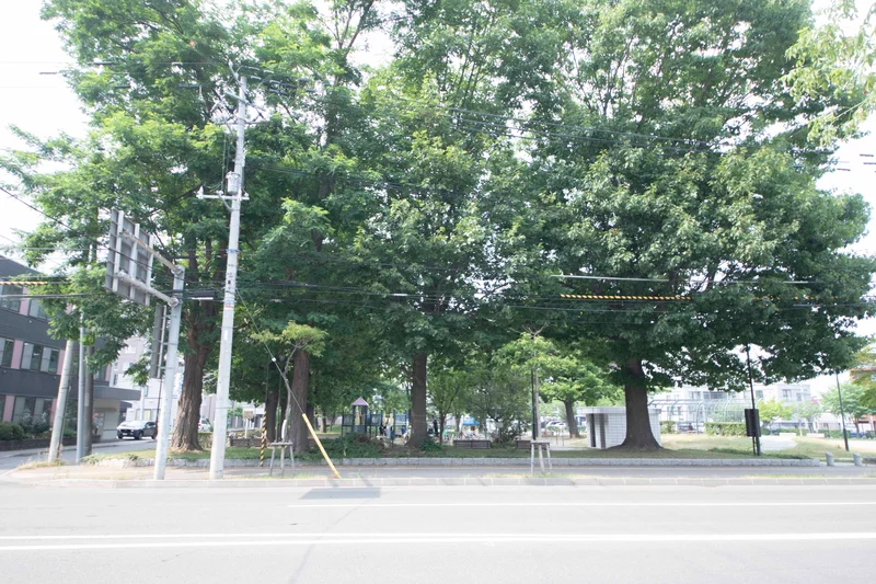 目の前には公園もあります🎵