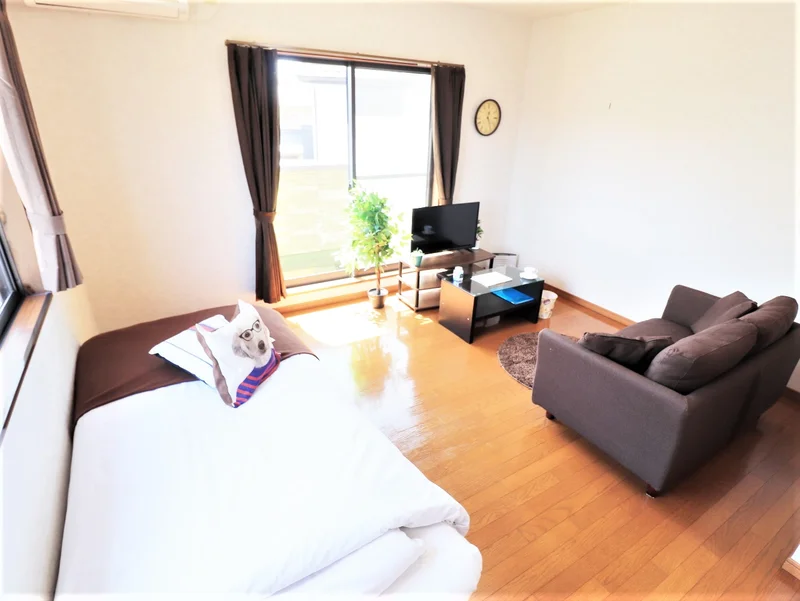 TVの他にDVDプレイヤーもご用意しております