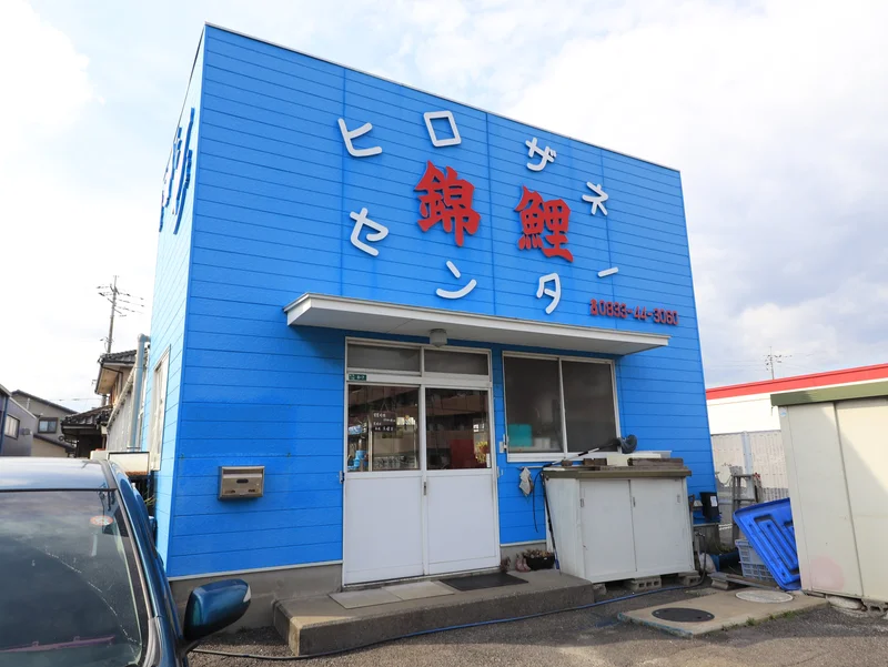 ヒロザネ　錦鯉センター