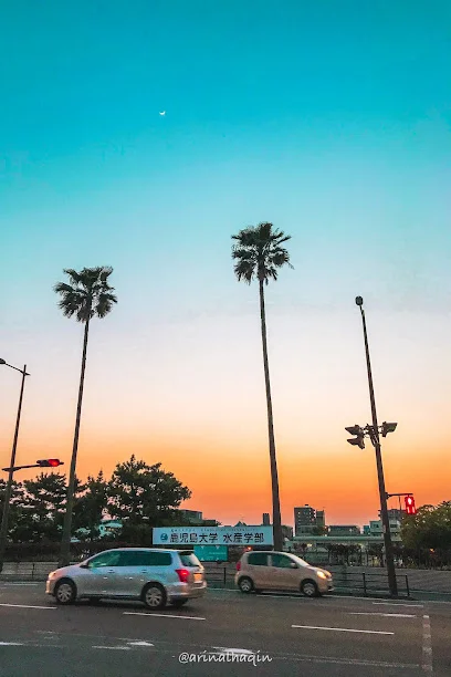 鹿児島大学 下荒田キャンパスまで徒歩18分、1.3km