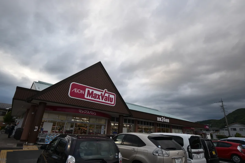 マックスバリュ藤枝薮田店
