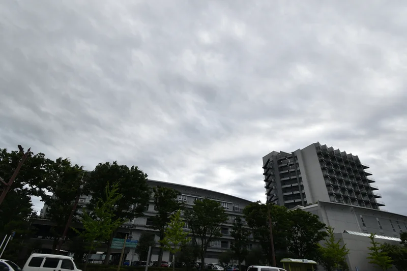 静岡文化芸術大学