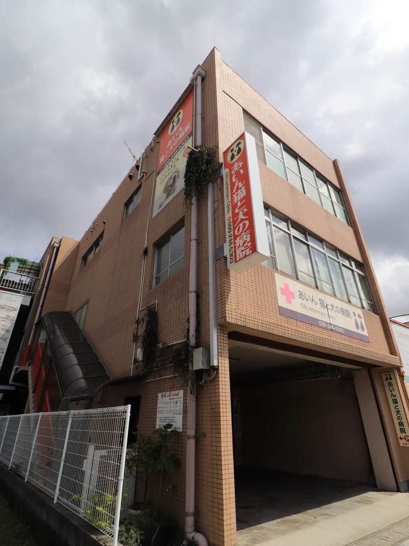 あいん猫と犬の病院まで徒歩1分、72m