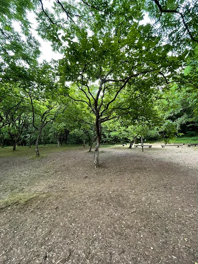 富山県呉羽青少年自然の家まで車で4分