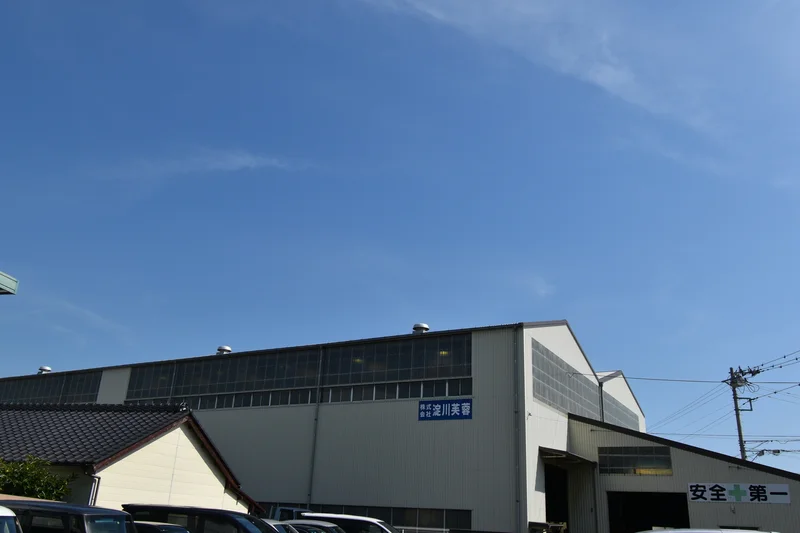淀川芙蓉