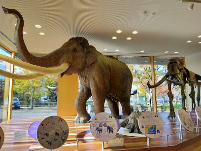 富山市科学博物館まで徒歩12分