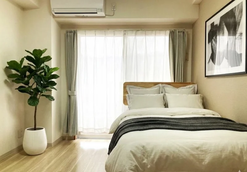 ※植木と額とクッションなどの装飾は写真用です。