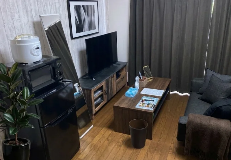 Kマンスリー福大前西福井駅南★テレビ、ソファー、空気清浄機、テーブル、ゴミ箱、掃除機やパラソルハンガー、DVDプレイヤーも完備!!長期、中期、短期宿泊に適した室内となっております。※植木と額は写真用です。