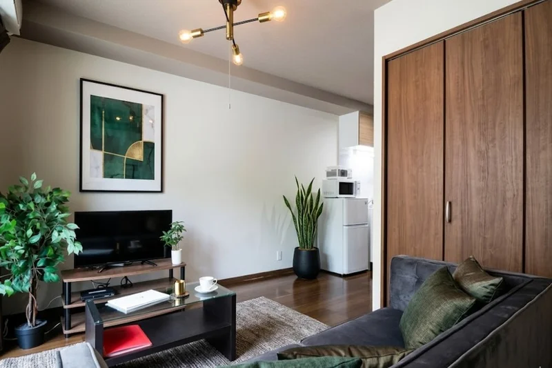 家具家電・備品が充実した格安マンスリーマンション！　テレビやDVDプレイヤーなどの娯楽もあり！　仕事終わりにもゆったりおくつろぎいただけます。※植木と額とクッションなどは写真用です。