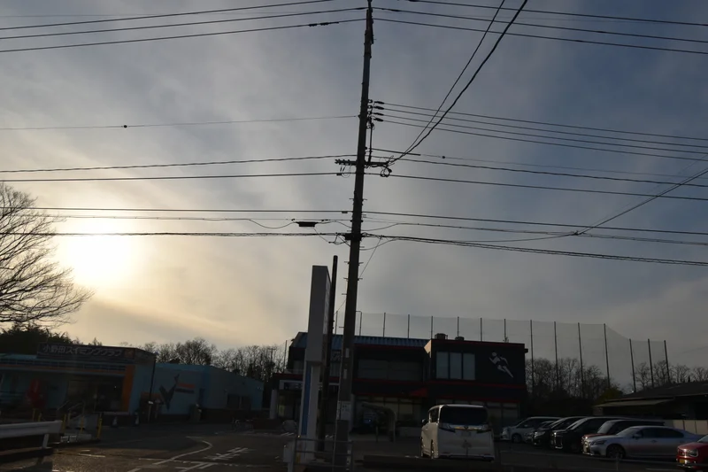 スポーツコアアルファ