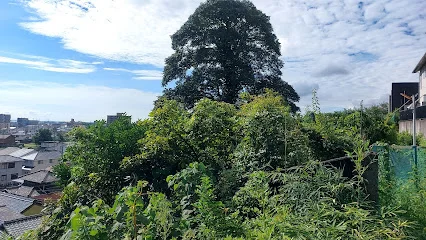 愛宕山城跡まで車で9分