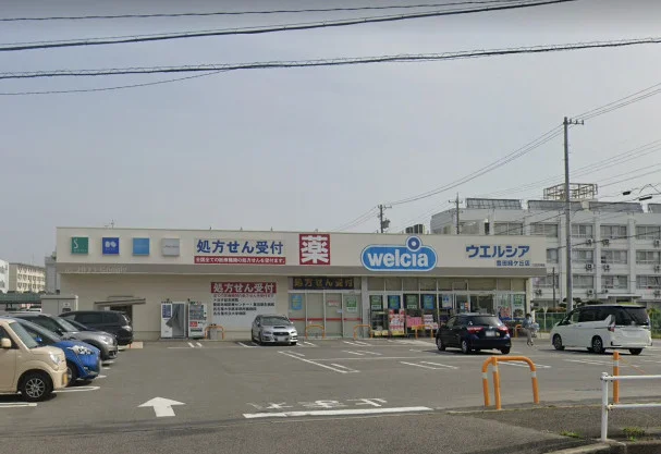 ウエルシア豊田緑ケ丘店まで徒歩13分。