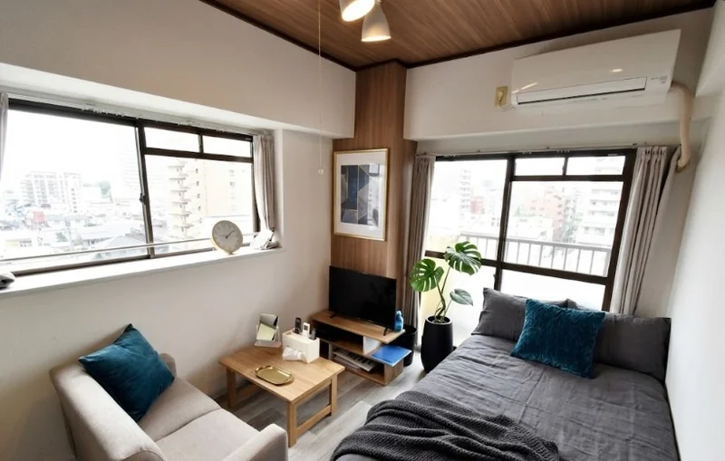 ソファ付きの家具家電付きの部屋！※植木と額とクッションなどは写真用です。