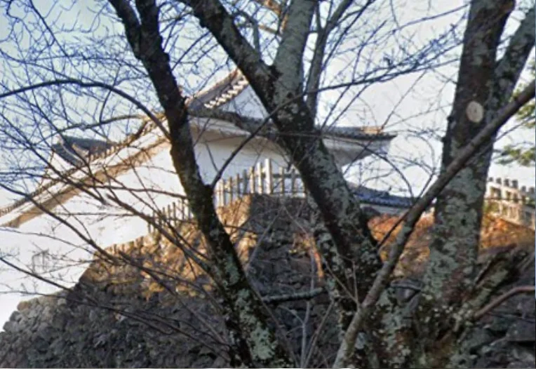 亀山城 多聞櫓　徒歩９分