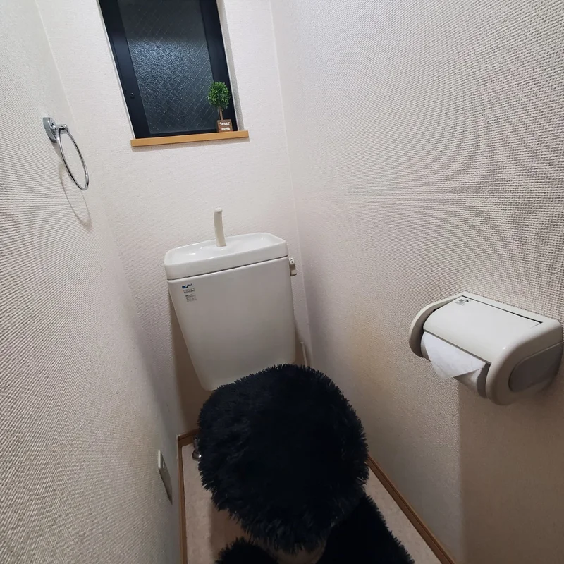 きれいなトイレ♪