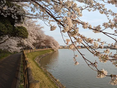 石垣池まで車で5分